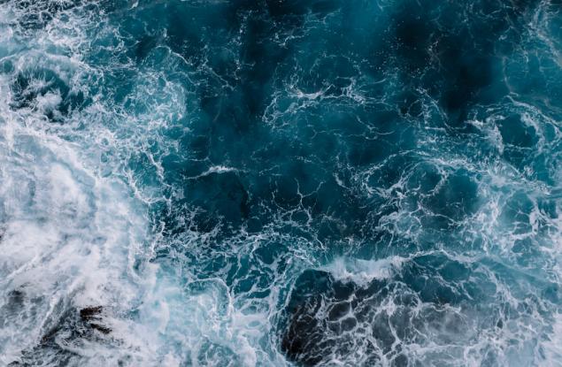 Енрик Сала: Щрихи от един първобитен океан