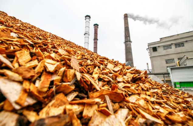 Неефективното използване на биомасата крие рискове за горите и климата