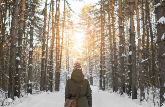 Те не бързат да лекуват своите травми: Уроци от растенията в трудни времена