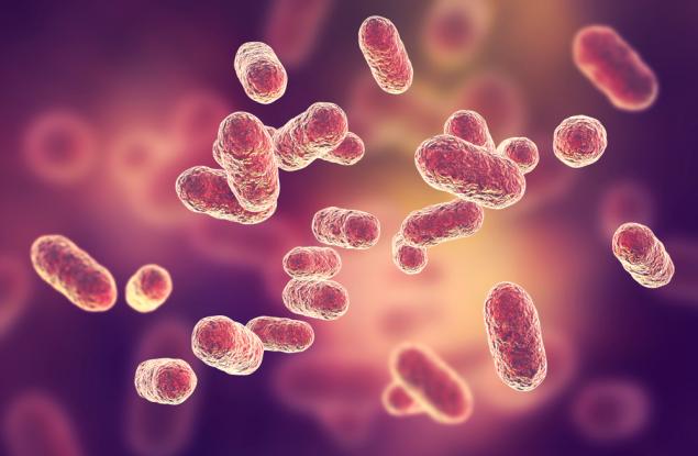 Всички бактерии в тялото ни общо тежат около 2 кг - 7 любопитни факта за бактериите