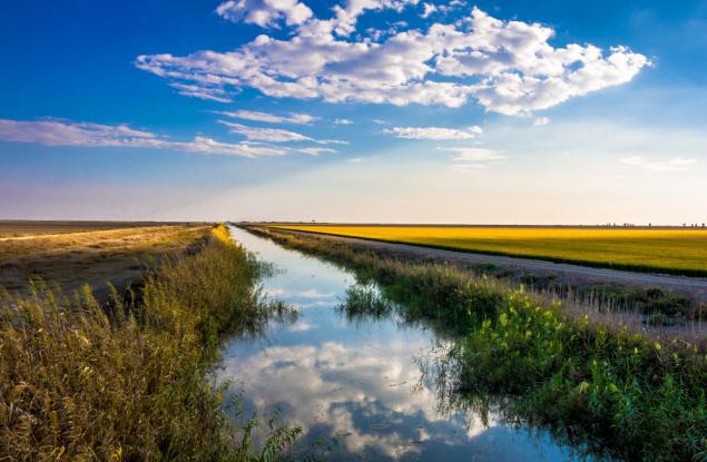 Пролетните цветя разцъфват седмици по-рано, отколкото преди десетилетия