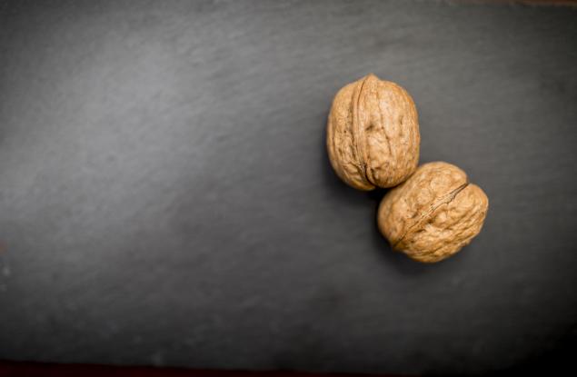 Човешкият мозък има много по-общо с тестисите, отколкото с който и да е друг орган