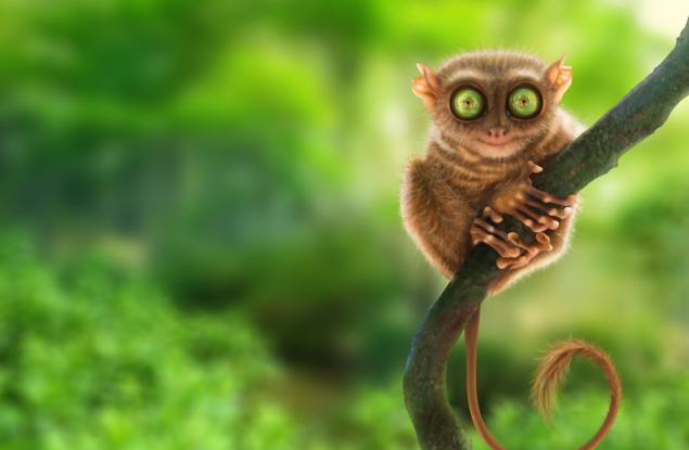 Най-чудноватото миньноче