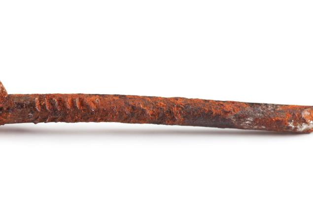 Всичко, което сте си мислили, че знаете за тетанусa, е погрешно