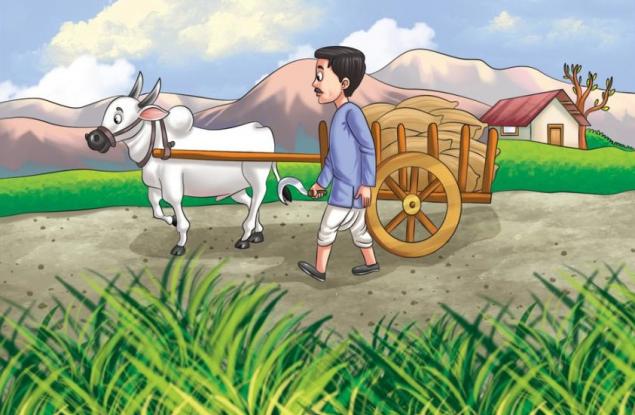 Чудомир за сиромашкия живот