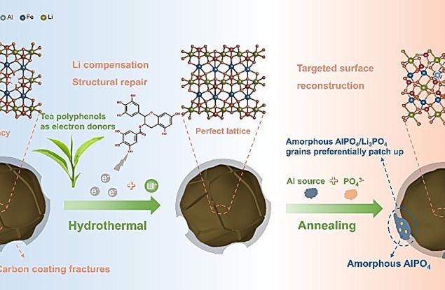 Съединения от чай вдъхват нов живот на изтощени литиеви батерии