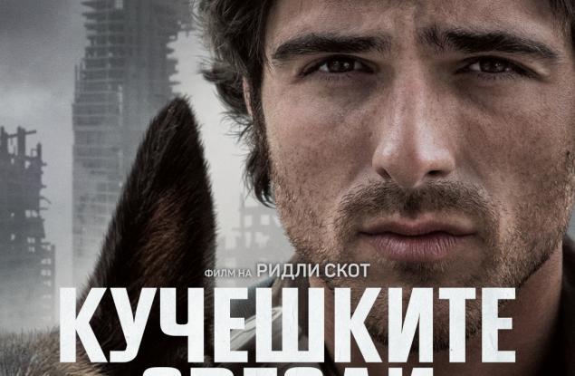 Общи условия за участие в играта "Кучешките звезди"