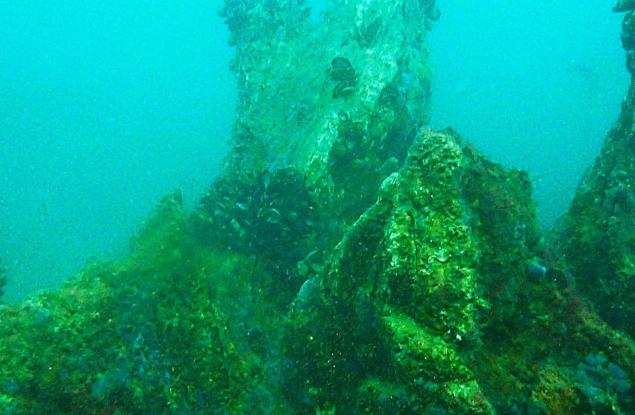 „Подводна вкаменена гора“ - уникален природен феномен в Созополския залив