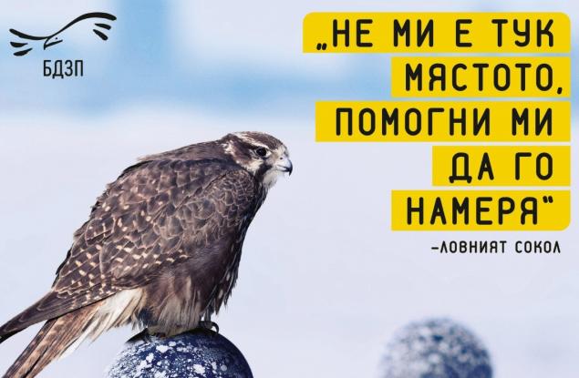 Купуването на земя за съхраняване на природата е бъдещето