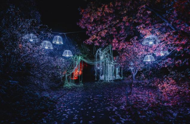 Заповядайте на едно вълшебно светлинно изложение в Ботаническата градина на БАН
