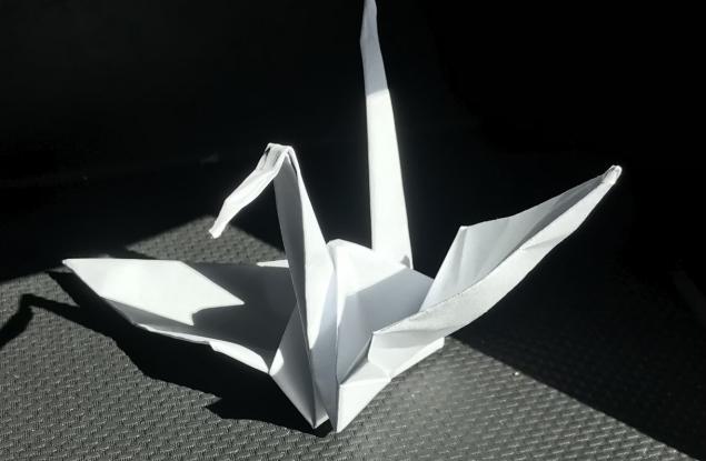 Хиляди жерави в подкрепа на хората с множествена склероза