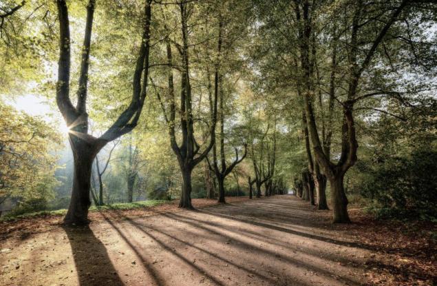 Каквo е климатична сянка и каква е разликата с личния ни въглероден отпечатък?