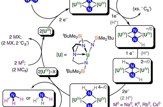 Катализатор на основата на уран превръща азота от въздуха в амоняк