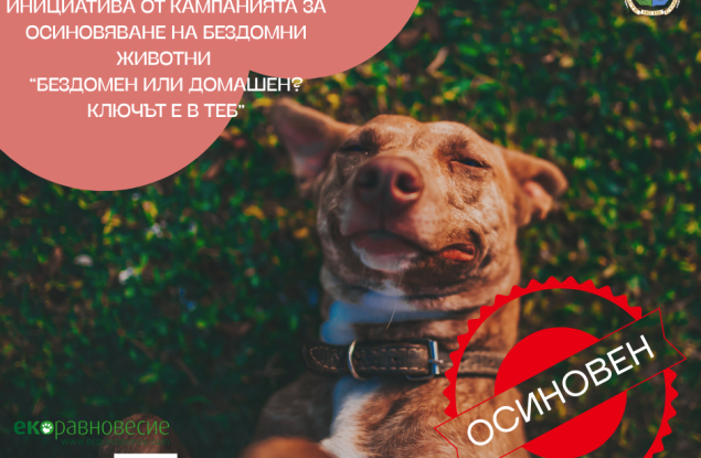„Вече съм вкъщи“ – новата инициатива от кампанията „БезДОМен или ДОМашен? Ключът е в теб!“