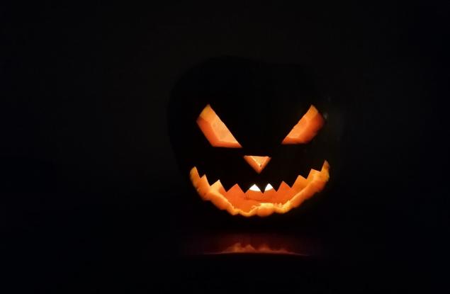 За тиквите и будителите