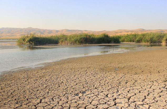 Крехките оазиси на планетата: бъдещето на влажните зони в затоплящия се свят