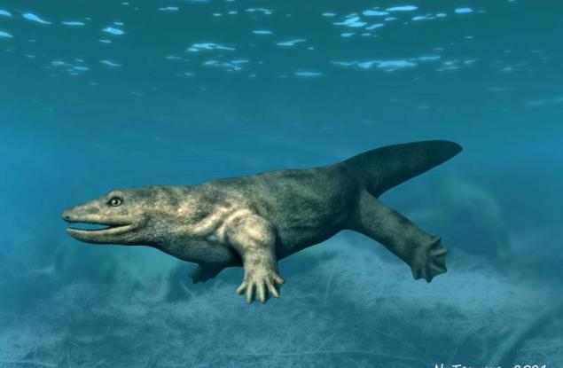 Подобен на саламандър хищник, живял на Земята преди 340 милиона години, е наречен "Тиранозавър рекс на своето време"