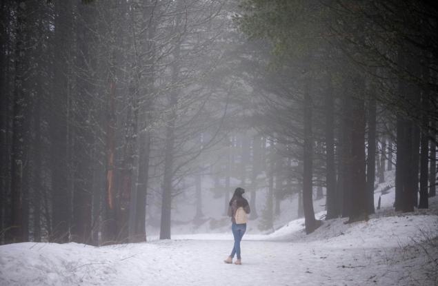 Януари под лупа: Климатът и решенията изпреварват политиките 
