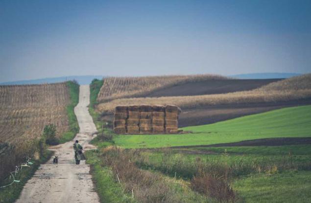 Когато се обърнем назад: Всичко опира до 5 човешки качества