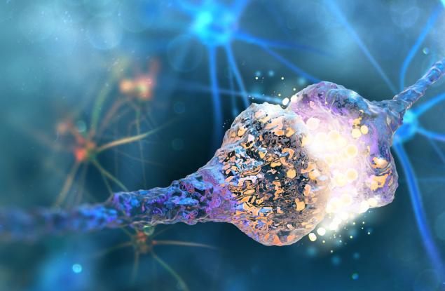 Учени установиха как сънят изостря паметта ни