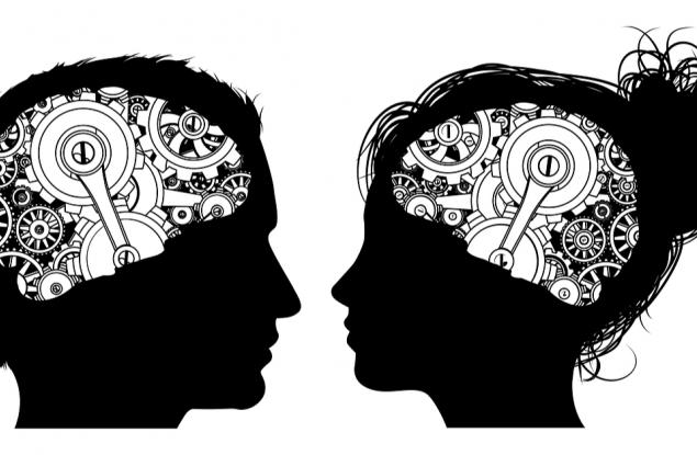 Едно популярно схващане за разликите между мозъка на жените и мъжете е оборено