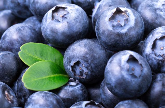 Купичка боровинки на ден е достатъчна за сваляне на кръвното