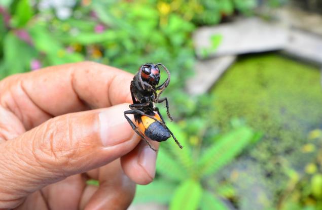 Притча за верността към себе си