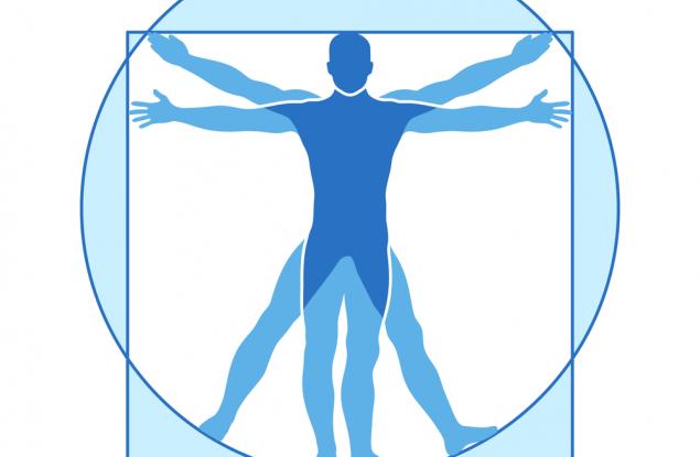 33 невероятни факта за човешкото тяло