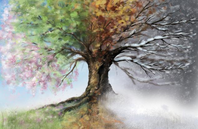 Паметта и вниманието работят най-добре в определени сезони