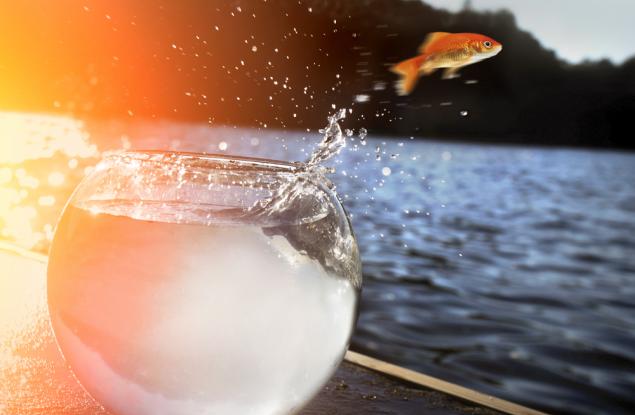 21 предизвикателства за 21 дни