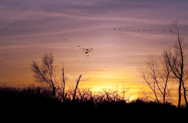 6 знака, че пропилявате живота си