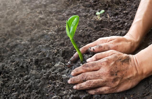 За лечението