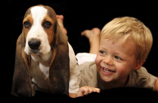 Мамо, искам животинче 