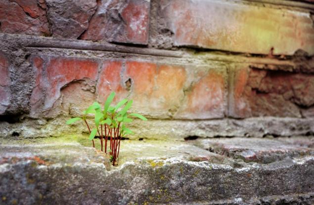 "Невъзможно" е дума от речника на глупаците