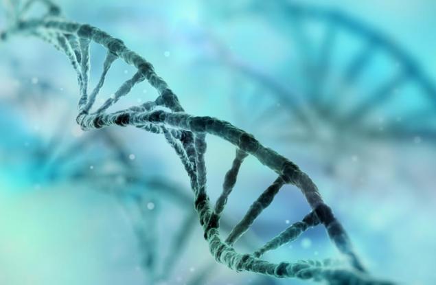 Откриха главната причина за стареенето и смъртта