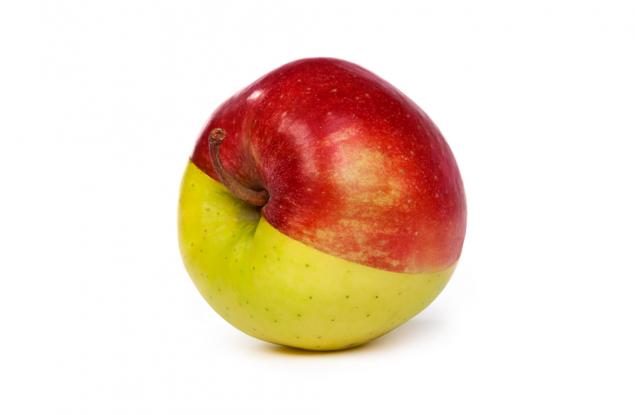 Коя е нашата перфектна половинка