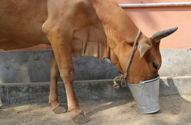 Виц: На лекция в село