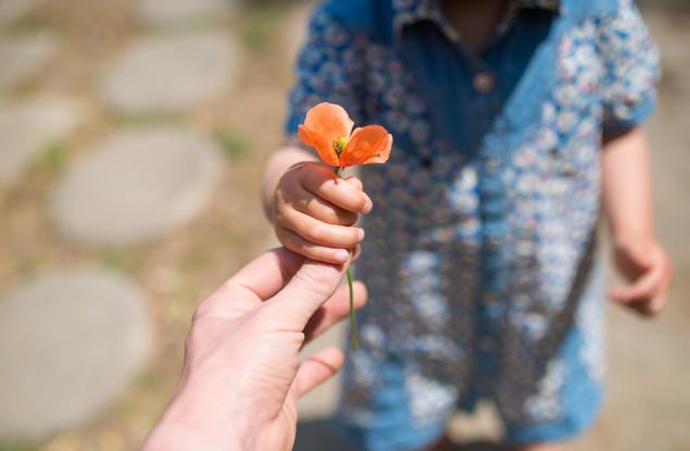 5 урока за живота, които възрастните могат да научат от децата