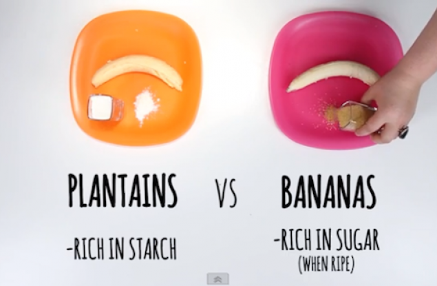 Този кратък клип ни показва разликата между храни и продукти, които иначе изглеждат доста сходно
