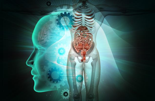 Откриха непознат орган в човешкото тяло