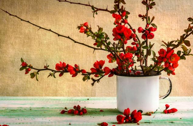 10 правила за човешките същества