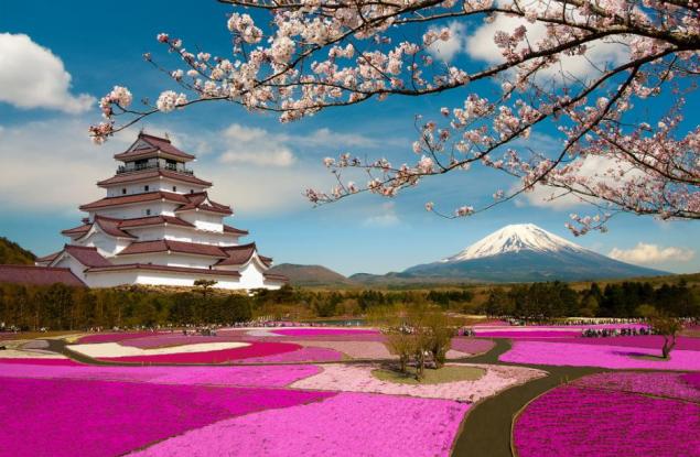 20 магични снимки, посветени на омайните цветове на сакура