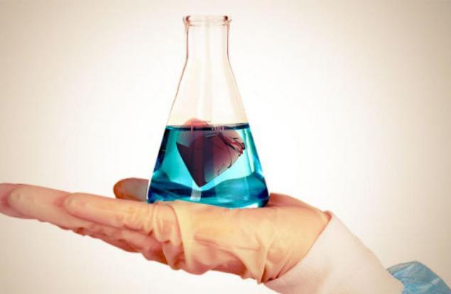 Науката обяснява:  защо раздялата е гадно нещо (и какво можем да направим по въпроса)