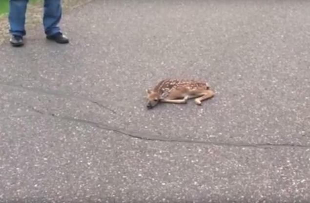 Добротата ще спаси света и това видео го доказва