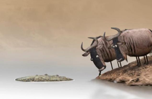 Ето защо никога не си струва да спорите с идиоти