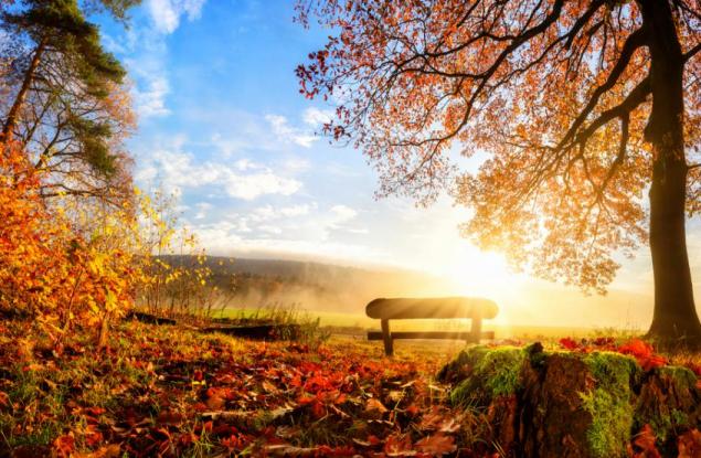 10 важни въпроса, които ще ви помогнат да рестартирате