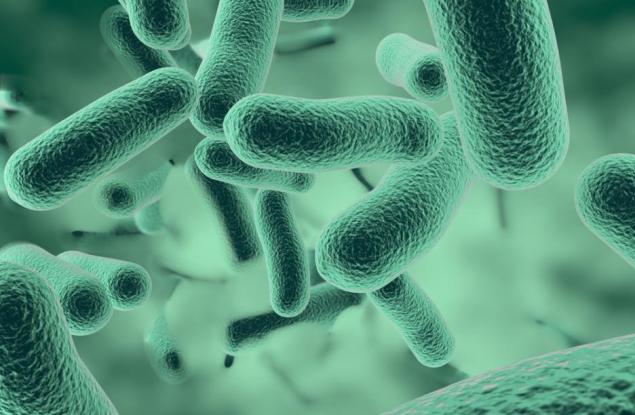 Антарктическа бактерия е ключът към намиране на извънземен живот