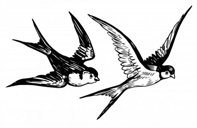 Красива приказка за любящото майчино сърце и болката по рожбата, която е далече...