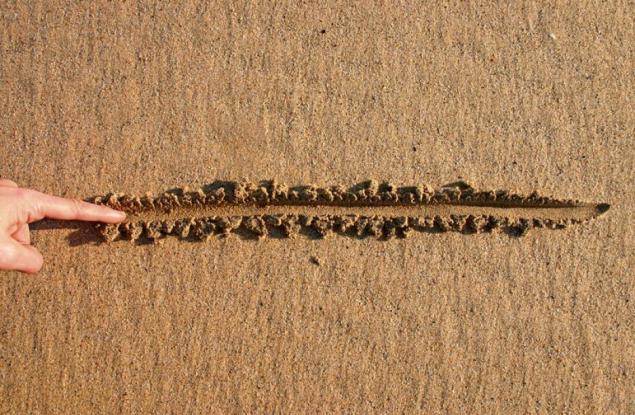 Как да поставите граници, ако някой се възползва от вас