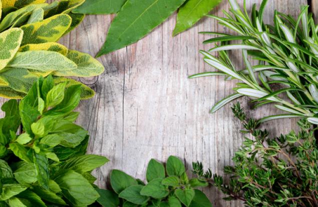 Китайците лекуват с 10 000 билки